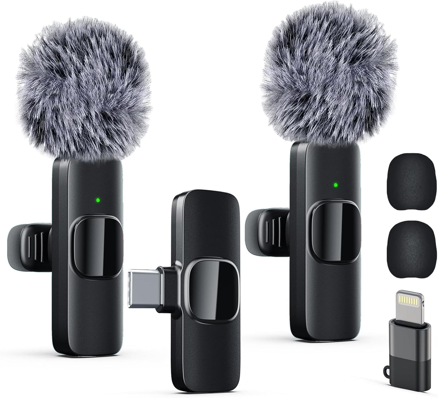 Portable Mic