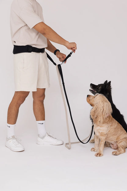 The Attachd Hands-Free Dog Belt