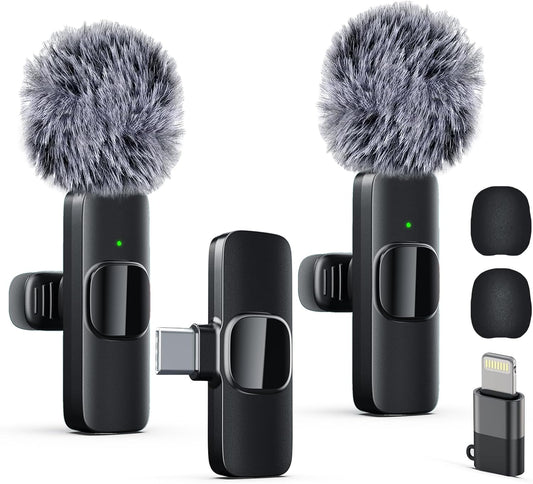 Portable Mic